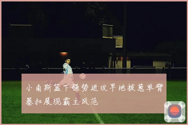 小南斯篮下强势进攻旱地拔葱单臂暴扣展现霸主风范