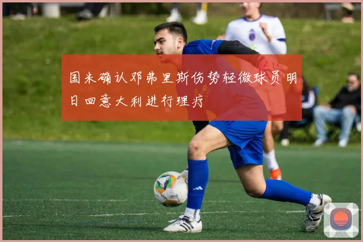 国米确认邓弗里斯伤势轻微球员明日回意大利进行理疗