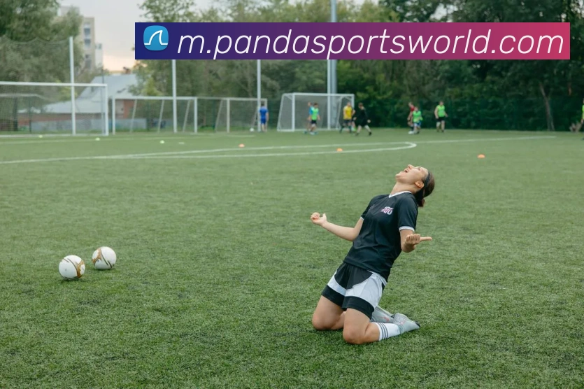 熊猫体育发展历程