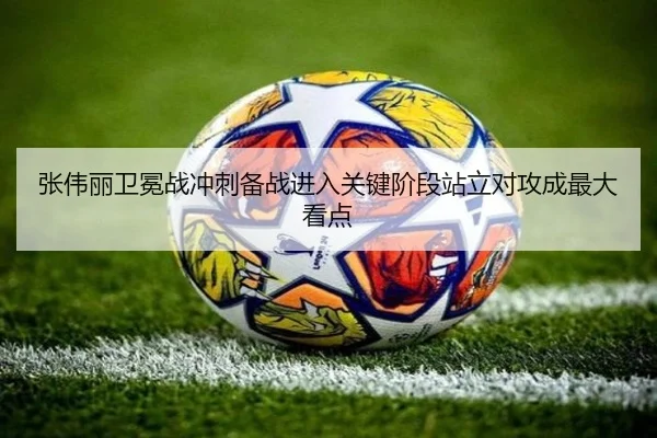 张伟丽卫冕战冲刺备战进入关键阶段站立对攻成最大看点